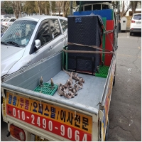 부천용달이사 PC 갤러리 0